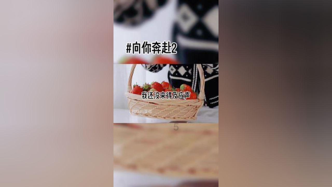 我叫MT4